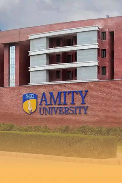 About University About University